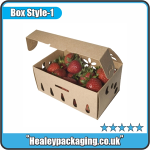 Cardboard Berry Boxes
