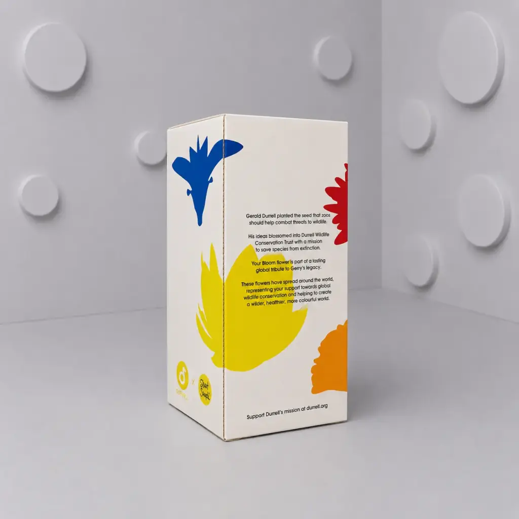 Custom printed packaging box showing rear panel artwork and text